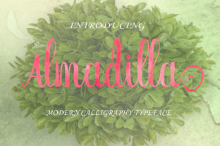 Almadilla: An Elegant Script Font for Editorial Design