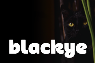 Blackye: The Bold and Modern Sans Serif Font
