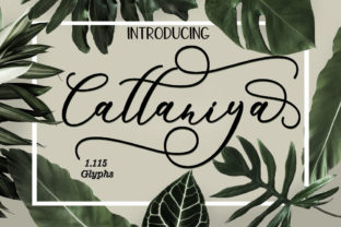Discover the Charm of Cattaniya: A Handmade Calligraphy Font