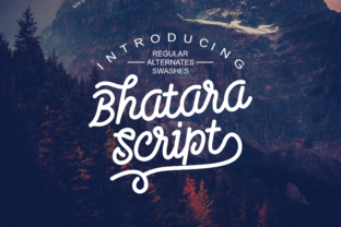 Discovering Bhatara for Authentic Vintage Design Projects
