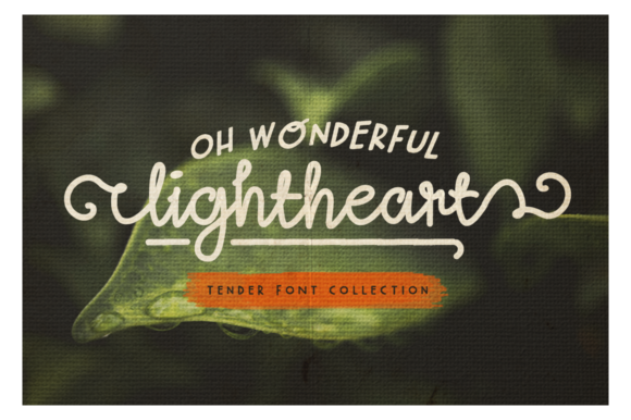 How Oh Wonderful Lightheart Makes Your Brand Look Beautiful