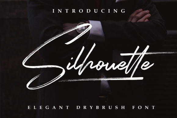 Silhouette Elegant Font for Creative Makers