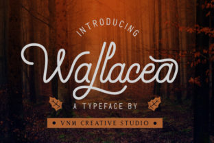 Wallacea: A Charming and Unique Script Handwritten Font